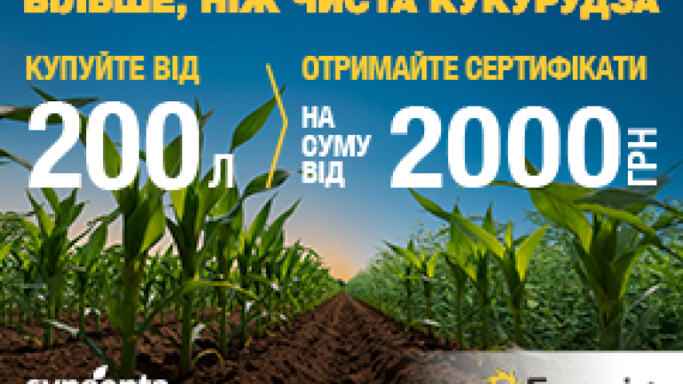 Акція елюміс 2027