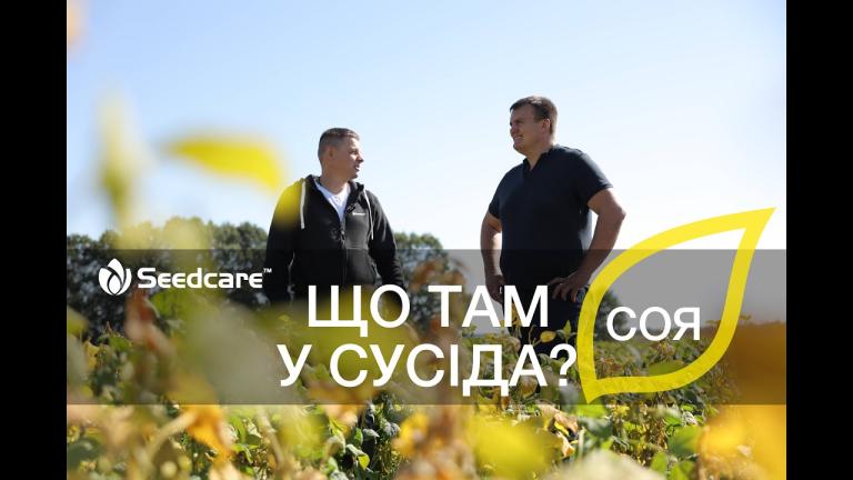 Що там у сусіда? Соя