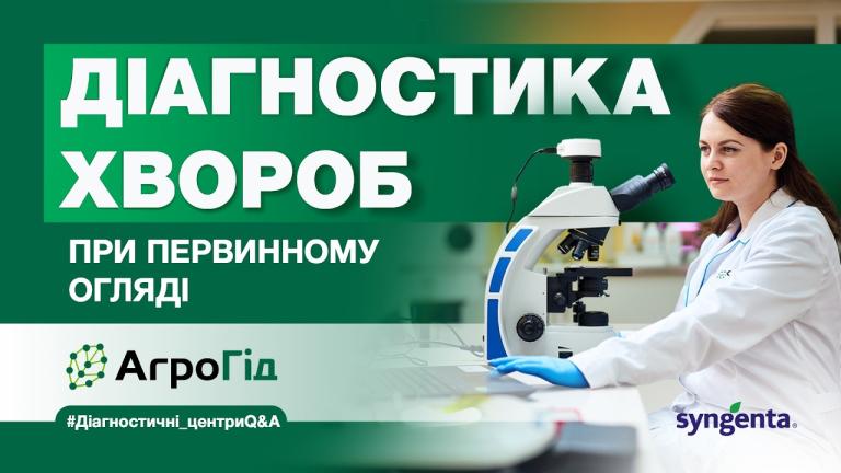 Чи можна при первинному огляді діагностувати хвороби, які є на рослині і не чекати 8 днів?