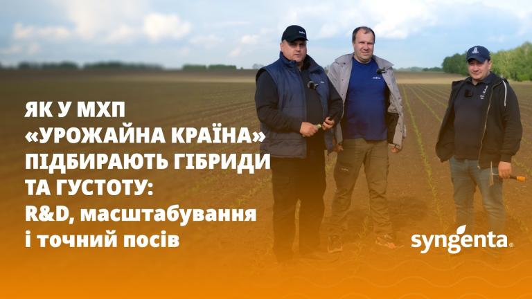 Як у МХП «Урожайна країна» підбирають гібриди та густоту: R&D, масштабування і точний посів