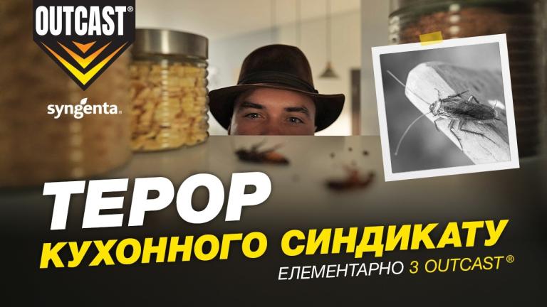 Операція «Терор кухонного синдикату»