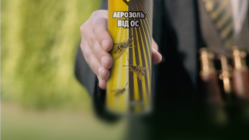 OUTCAST® аерозоль від ос