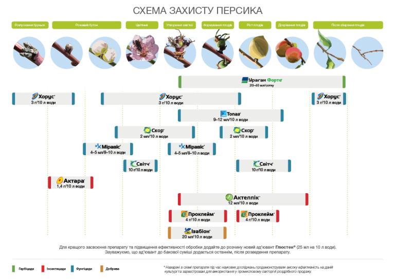 Схема захисту персика
