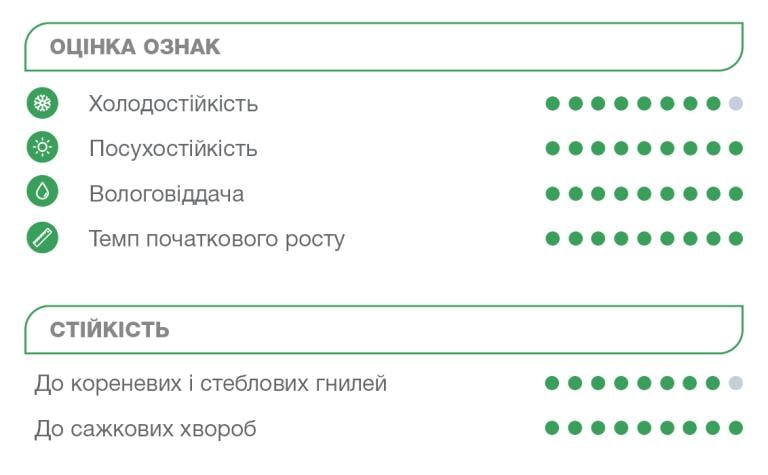 Оцінка ознак Електрон