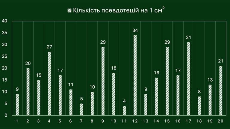 Графік псевдотецій