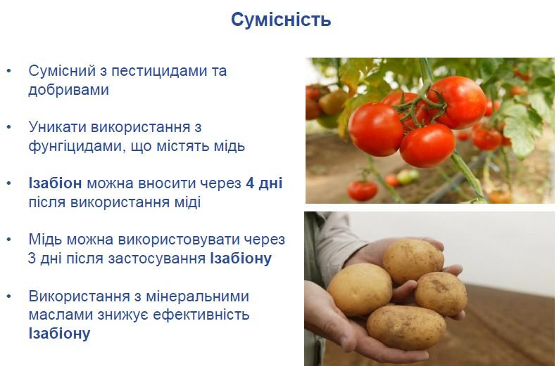 сумістність ізабіону
