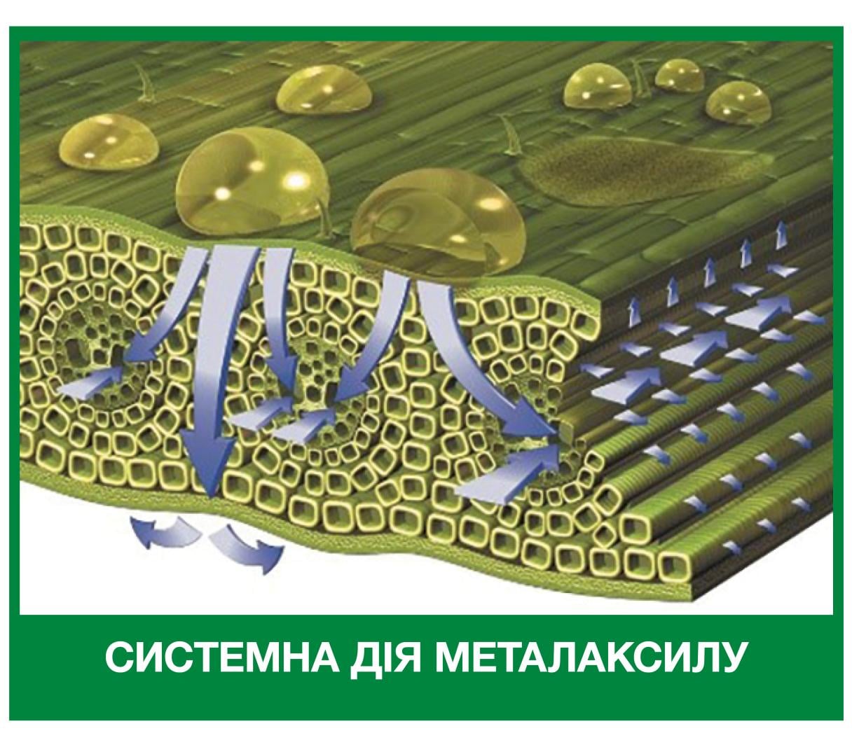 Металаксил