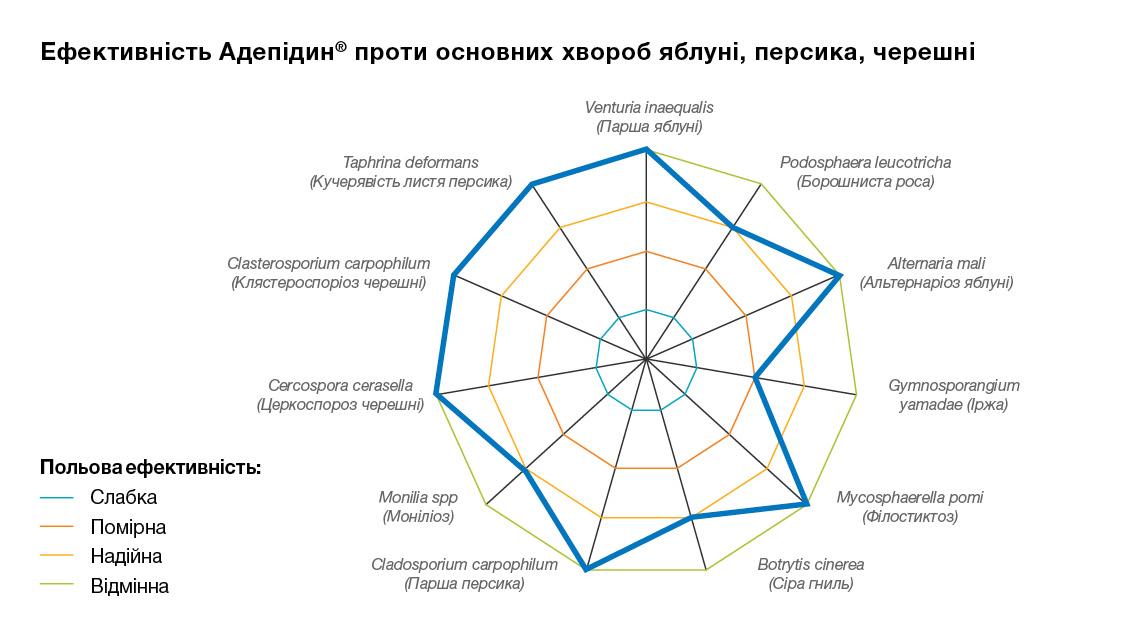 Адепідин