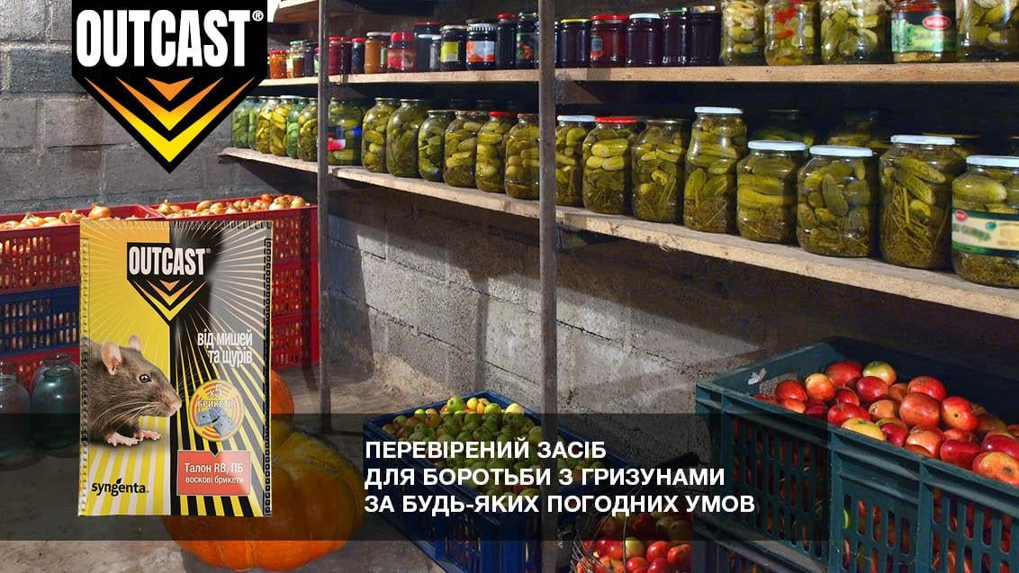 Талон