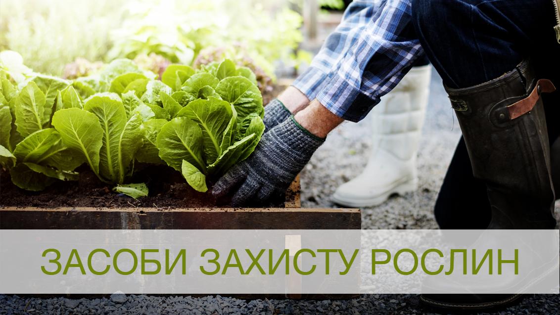 Засоби захисту рослин