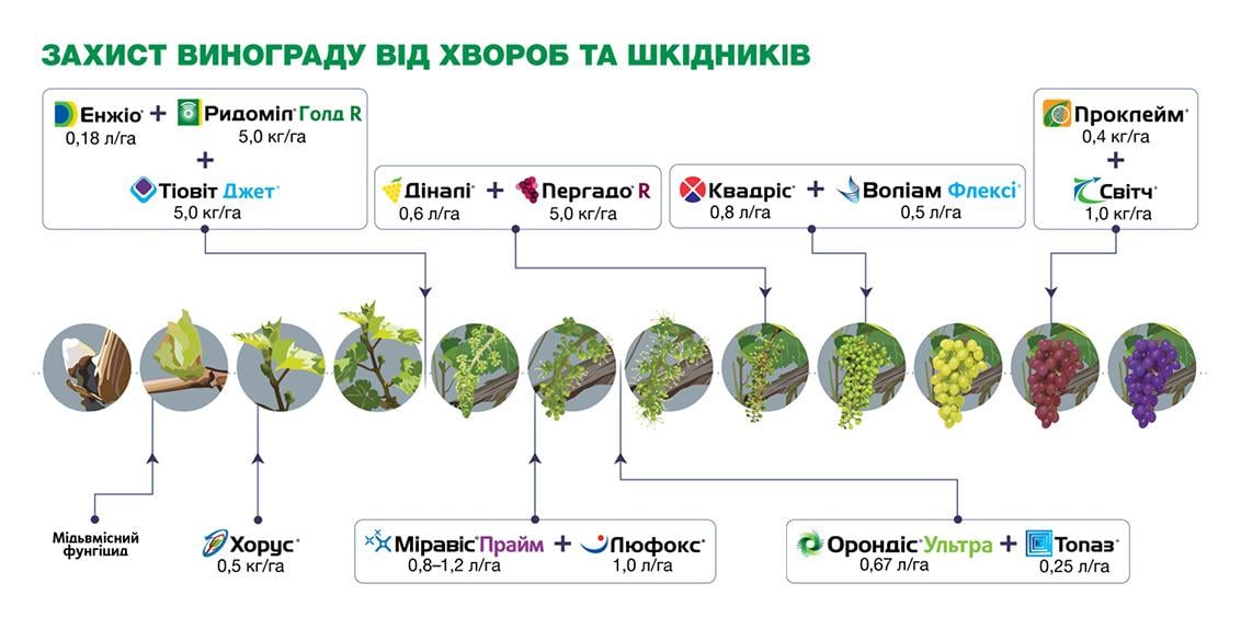 Міравіс Прайм