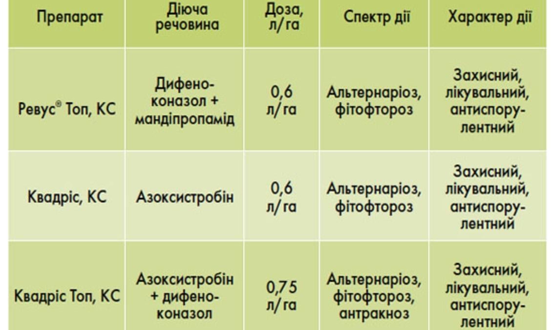 Ревус
