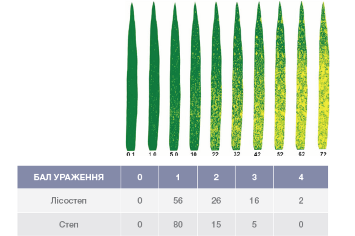 Середні дані ураження борошнистою росою пшениці
