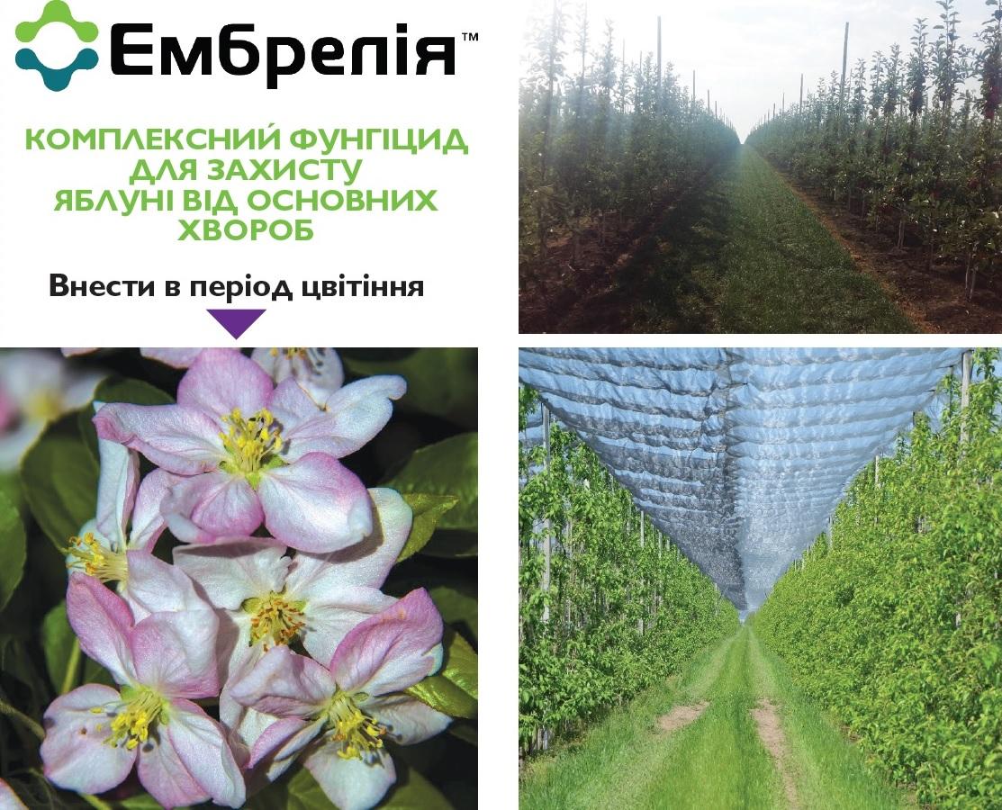 Ембрелія - комплексний фунгіцид