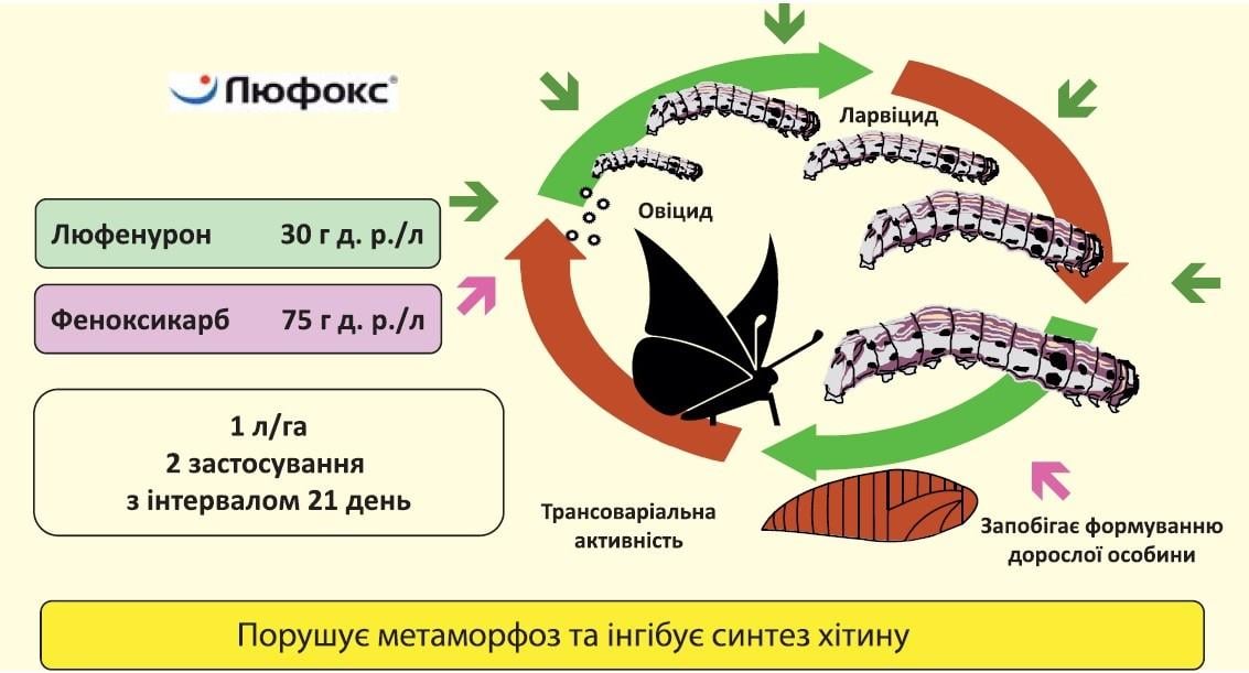 Схема дії Люфокс