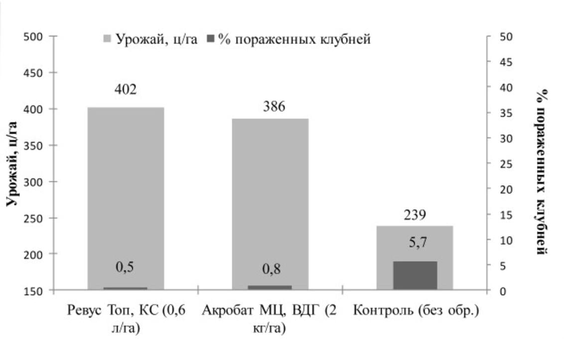 Урожайність картопі вміст уражених бульб
