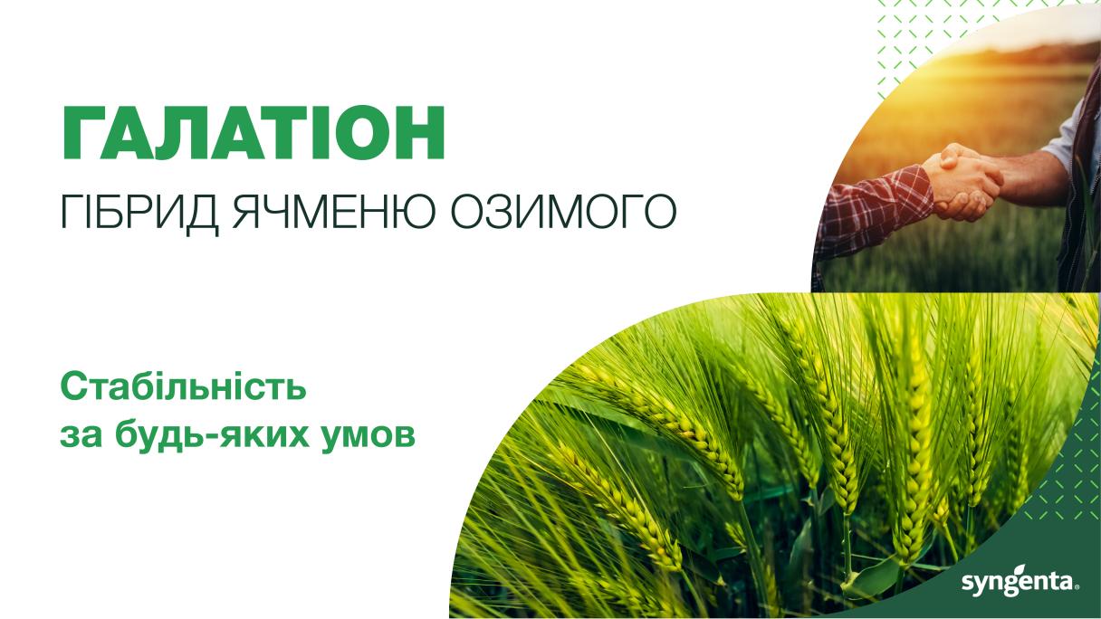 Galation1
