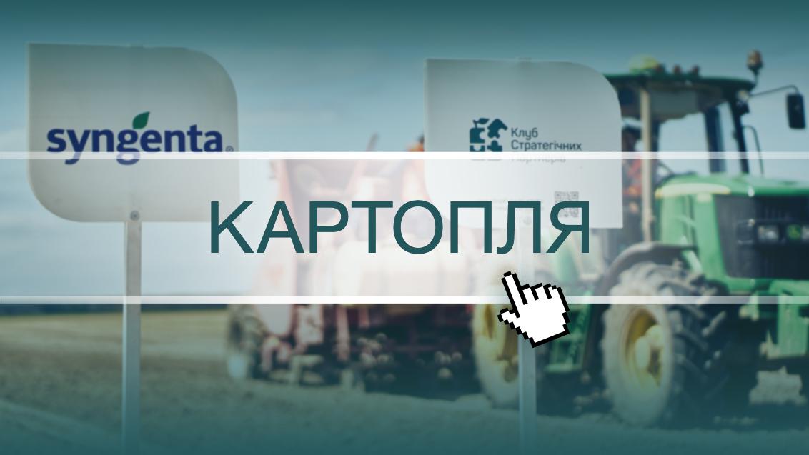 Картопля