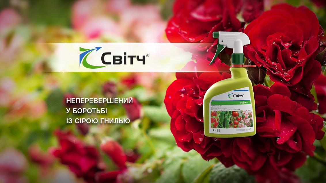 Світч спрей
