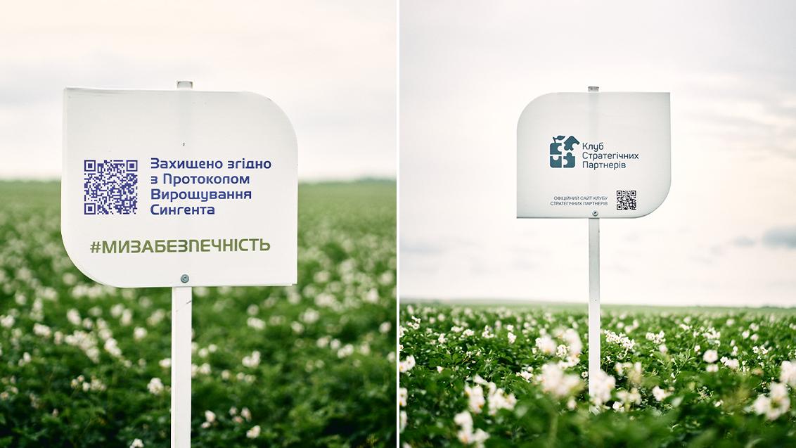 Захист овочів