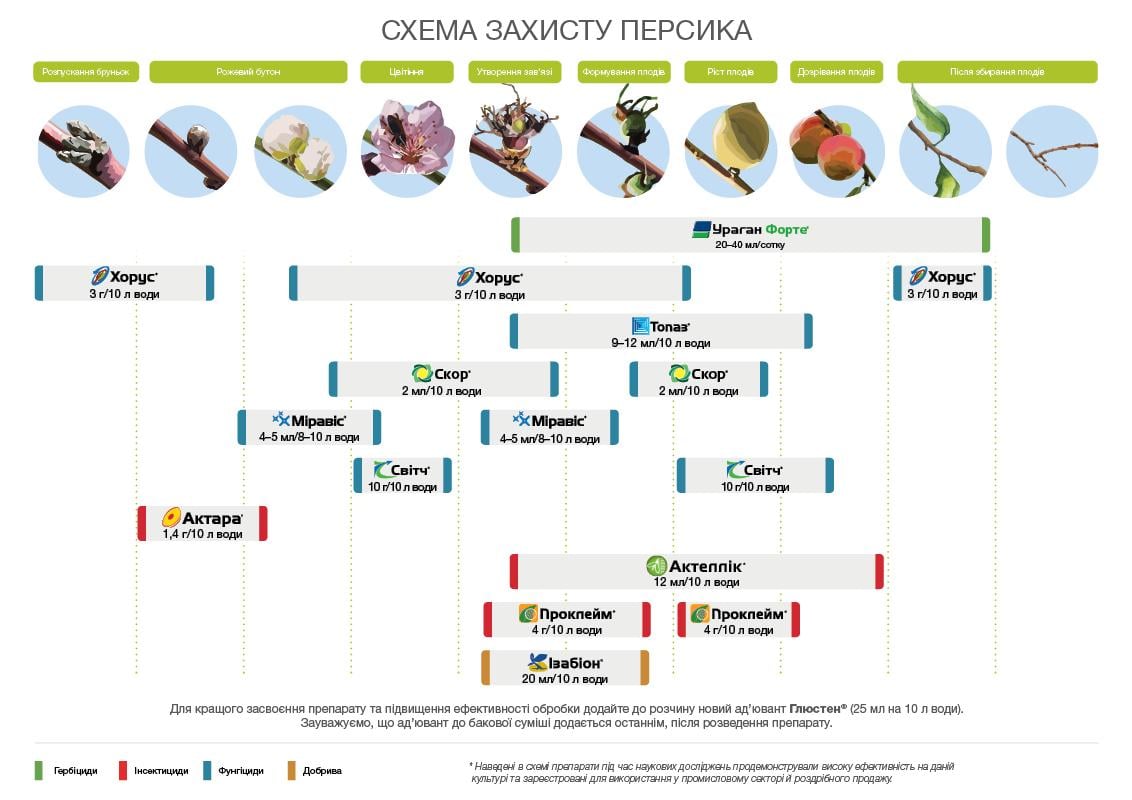 Схема захисту персика