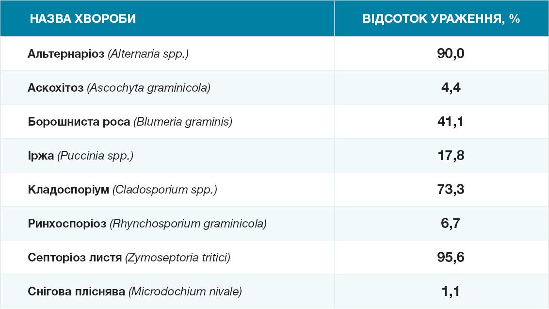 Відсоток уражених рослин озимої пшениці