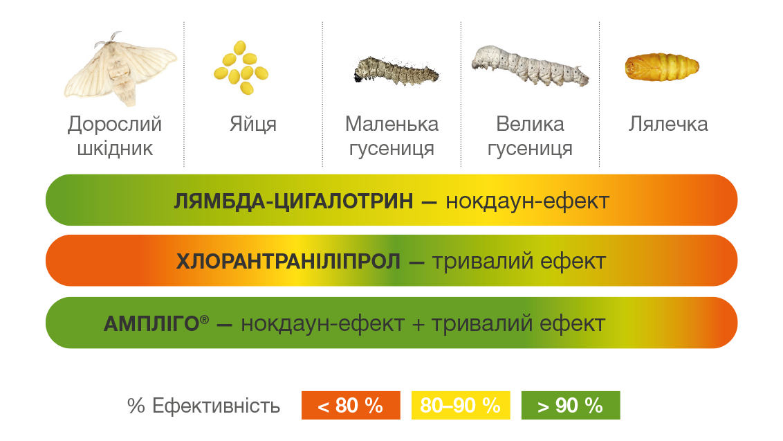 Дія препарату на шкідника
