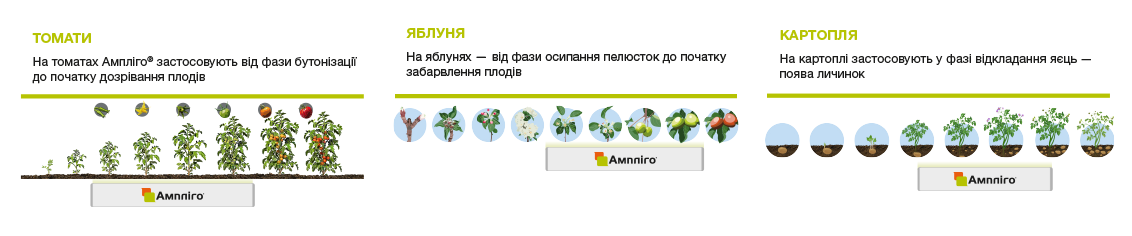 Схема захисту