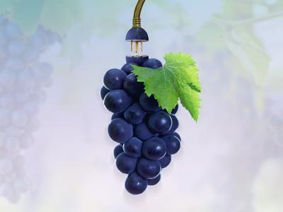 Міравіс Прайм