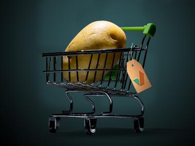 Ревус Топ