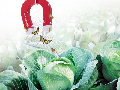 Воліам Флексі