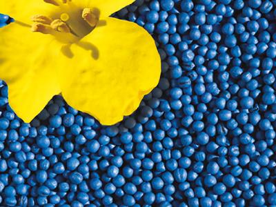 Круїзер OSR