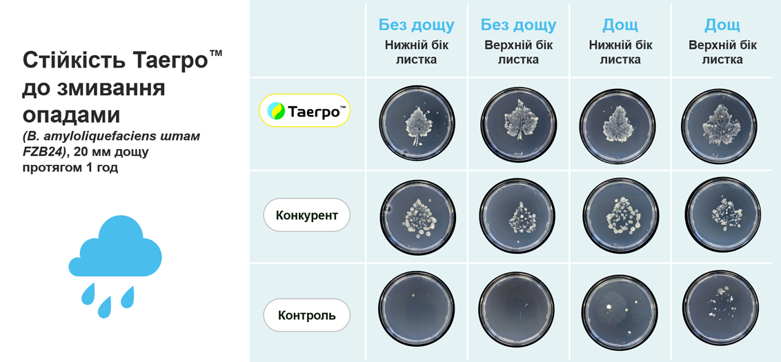 Стійкість Таегро™ до змивання опадами
