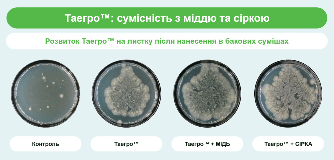 Сумісність Таегро™