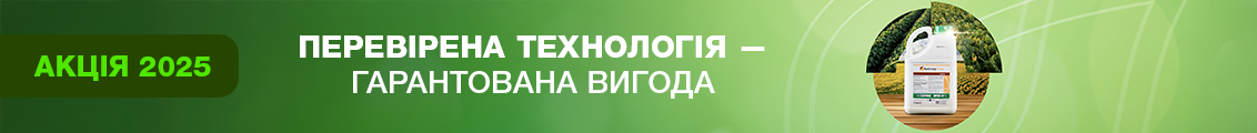 Акція Амістар Голд