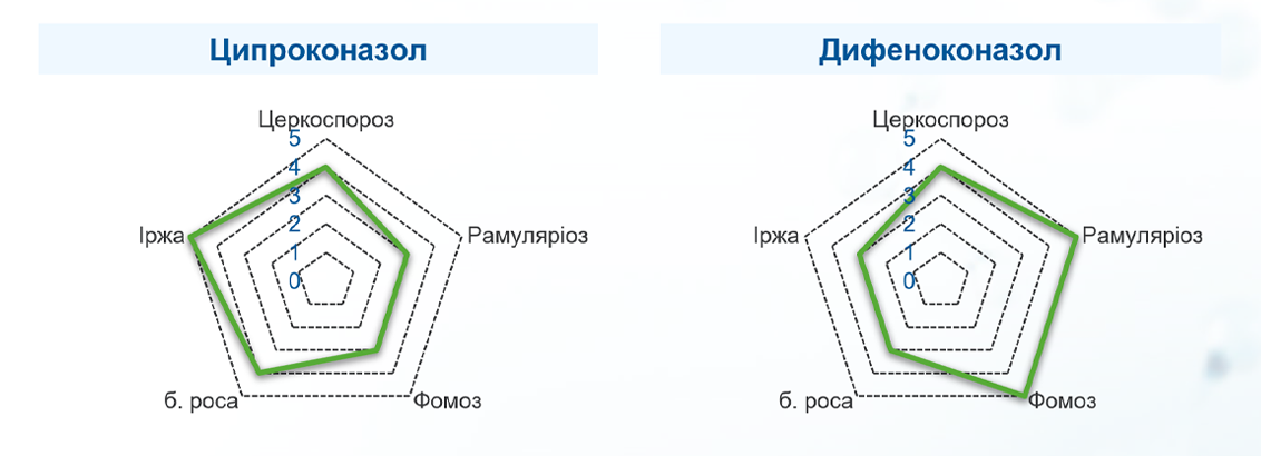 Порівняння спектра дії й ефективності ципроконазолу (ліворуч) та дифеноконазолу (праворуч) на цукровому буряку