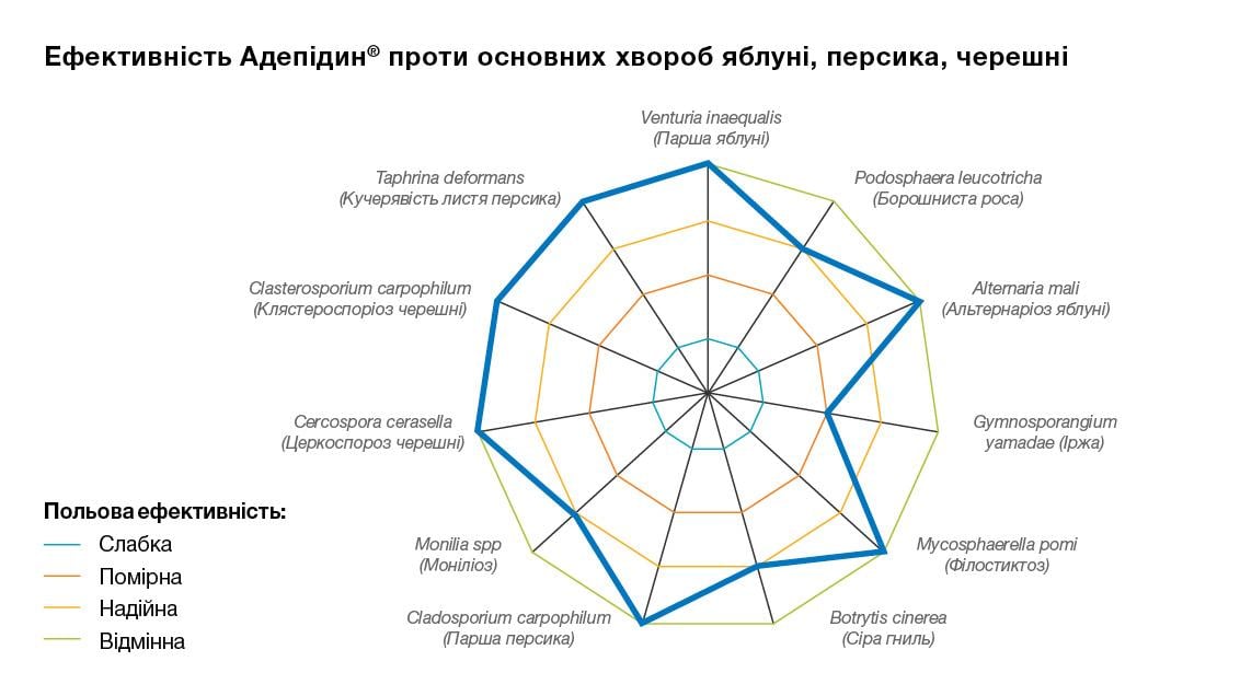 Ефективність Адепідин