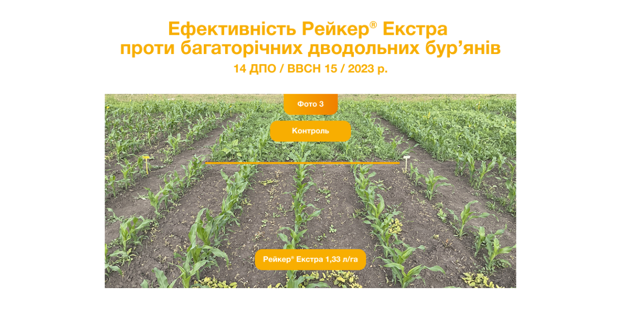 Ефективність Рейкер Екстра