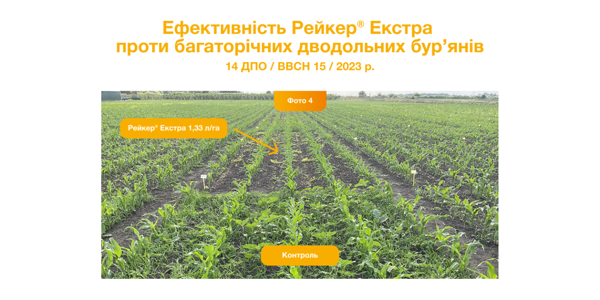 Ефективність Рейкер Екстра