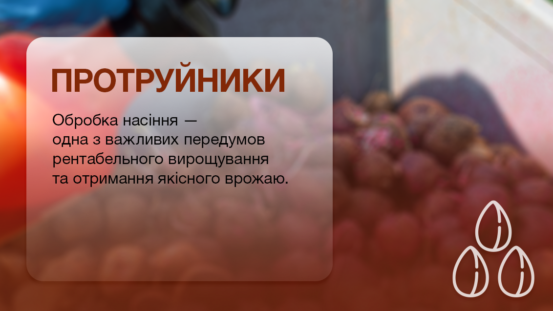 Протруйники Сингента