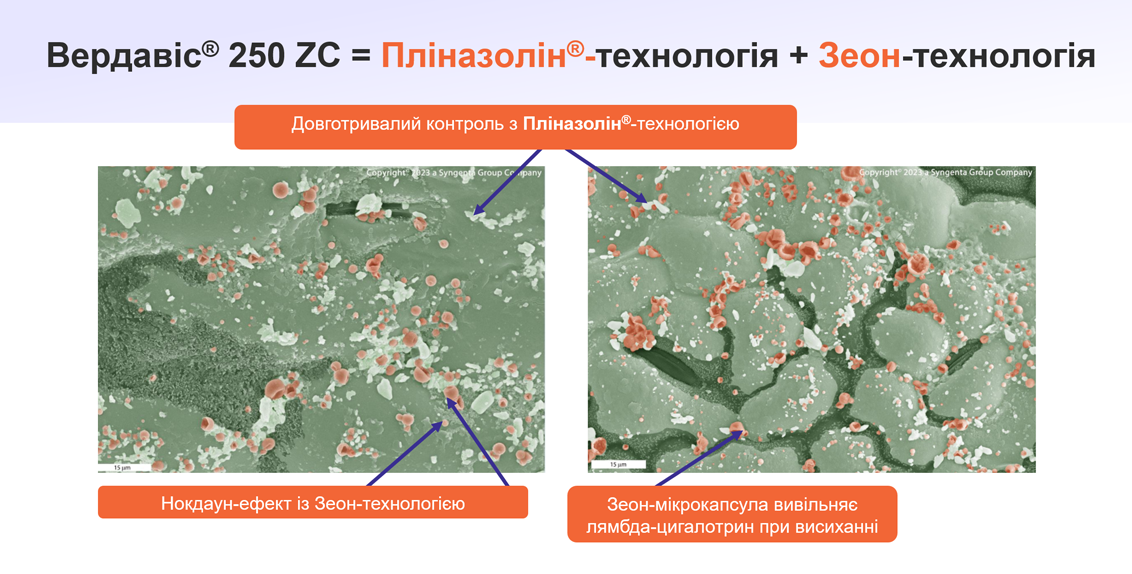ЗЕОН®-технологія