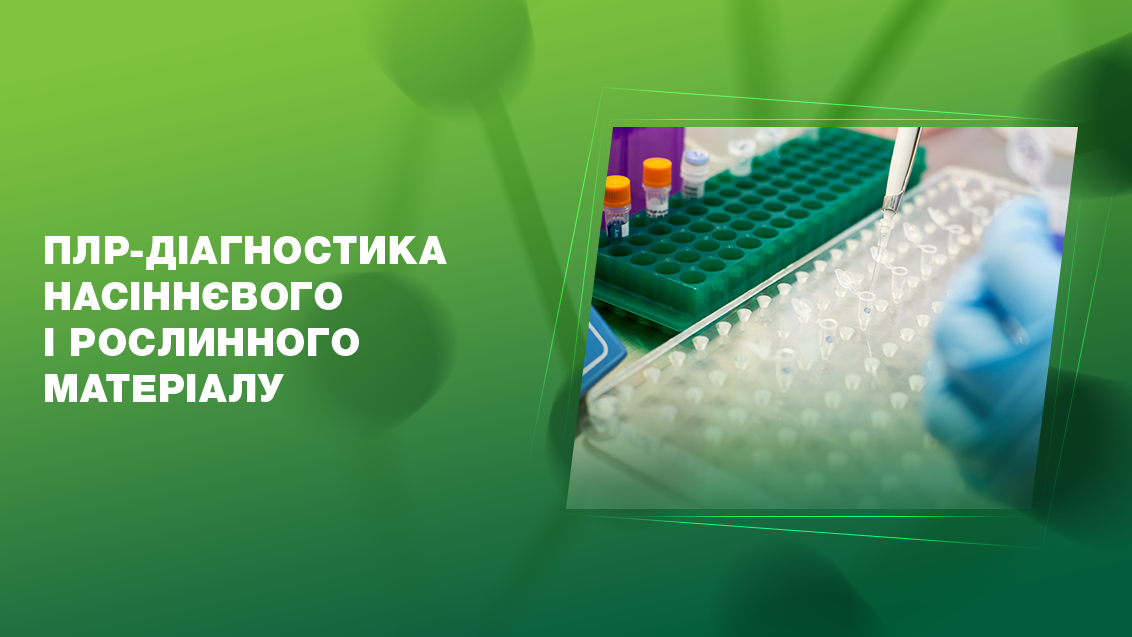 ПЛР-діагностика насіннєвого і рослинного матеріалу