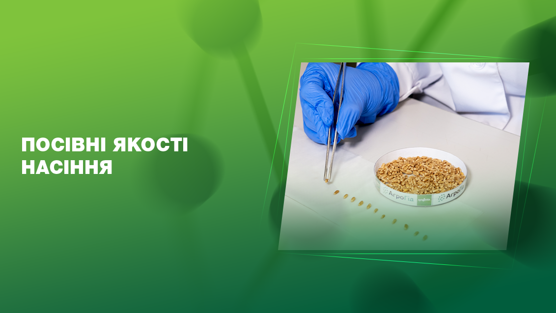 Посівні якості насіння