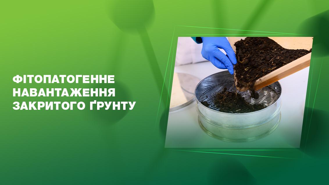 Фітопатогенне навантаження закритого ґрунту