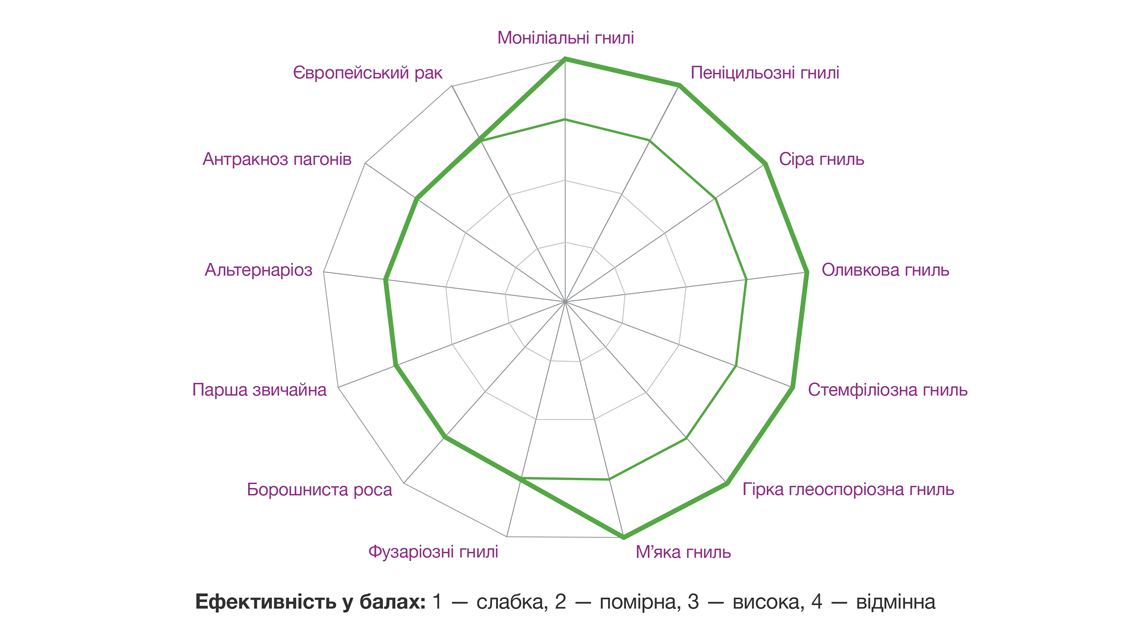 Спектр дії флудиоксонілу
