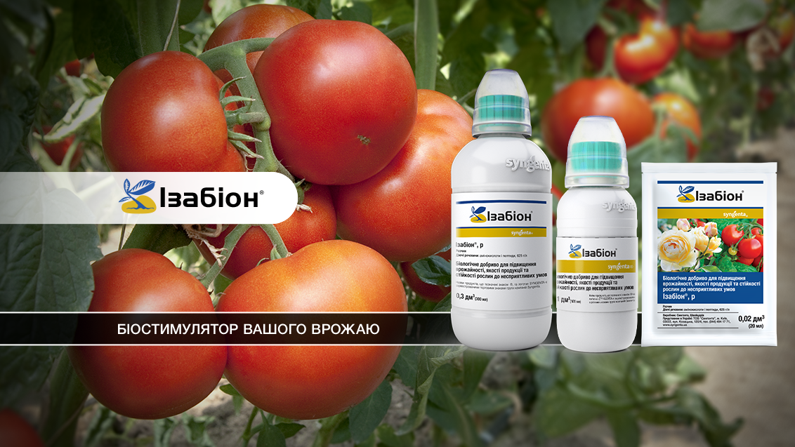 Ізабіон