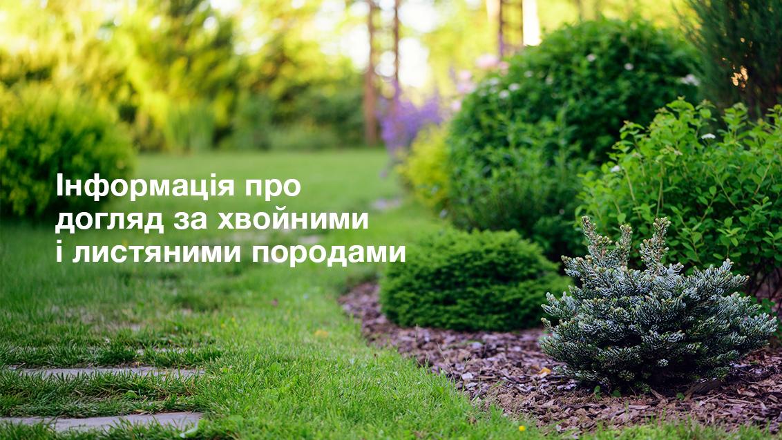 Догляд за хвойними та листяними породами