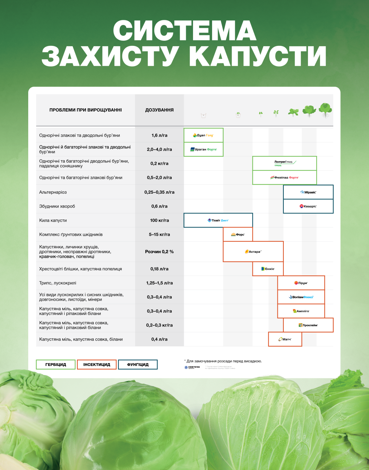 Система захисту капусти