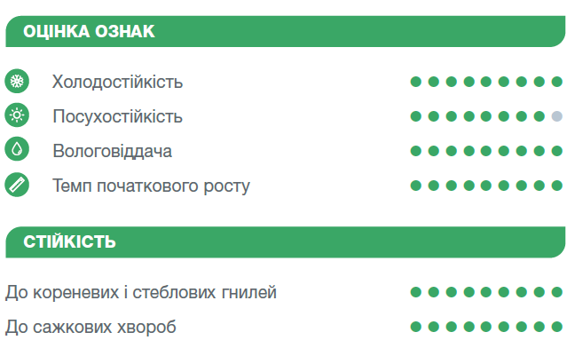 Оцінка ознак Чорінтос