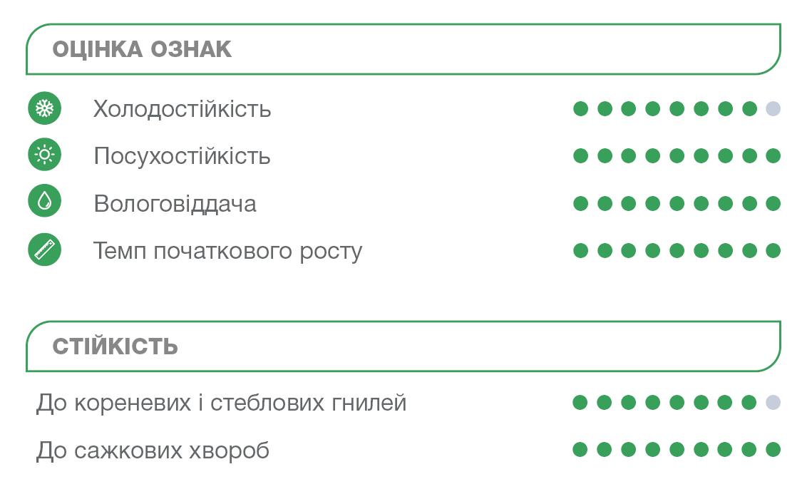 Оцінка ознак Електрон